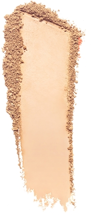 Estée Lauder Double Wear Stay-in-Place Matte Powder Foundation Powder Foundation SPF 10