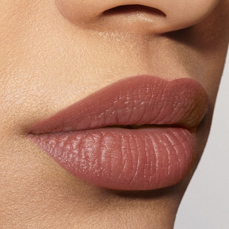 Estée Lauder Pure Color Explicit matná rtěnka
