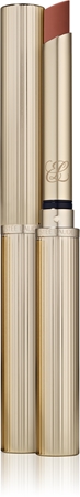 Estée Lauder Pure Color Explicit matná rtěnka