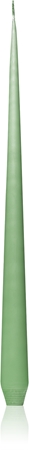 ester & erik taper candle eucalyptus (no. 66) vela