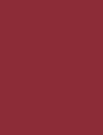 flormar Style Matic Lipliner Matte Lip Liner waterproof