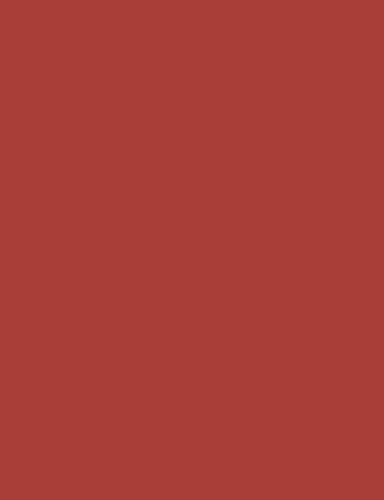 flormar Style Matic Lipliner Matte Lip Liner waterproof