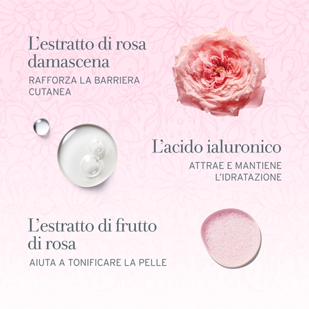 fresh Rose Deep Hydration Facial Toner lozione tonica idratante di rosa