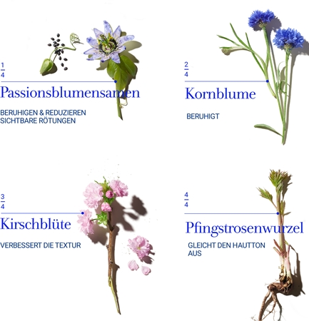 fresh Floral Recovery Calming Mask Maske für die Nacht für empfindliche Haut