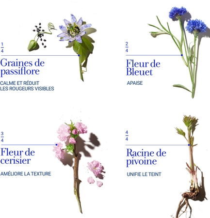 fresh Floral Recovery Calming Mask masque de nuit pour peaux sensibles