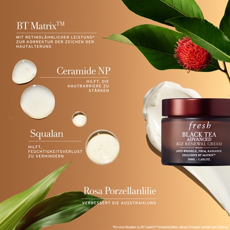 fresh Black Tea Advanced Age Renewal Cream hydratisierende Anti-Aging Creme