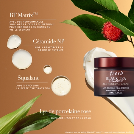 fresh Black Tea Advanced Age Renewal Cream crème hydratante anti-âge