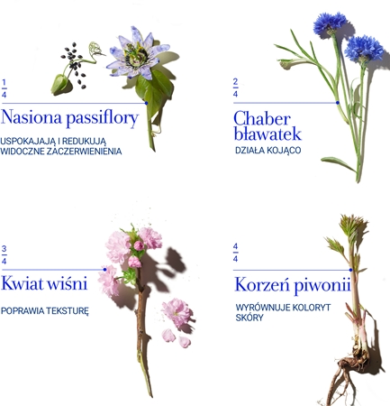 fresh Floral Recovery Calming Mask maska na noc dla skóry wrażliwej