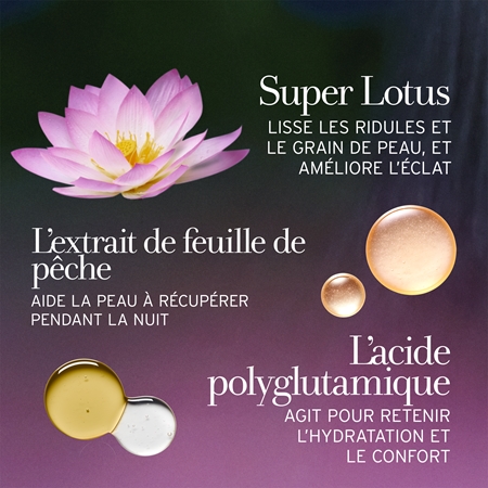 fresh Lotus Youth Preserve Dream Cream crème de nuit anti-signes de l'âge