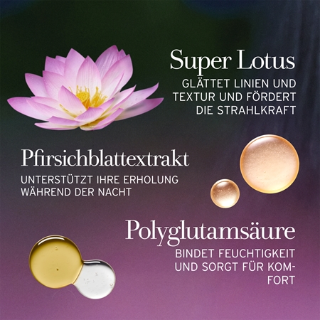 fresh Lotus Youth Preserve Dream Cream Nachtcreme gegen sämtliche Alterserscheinungen