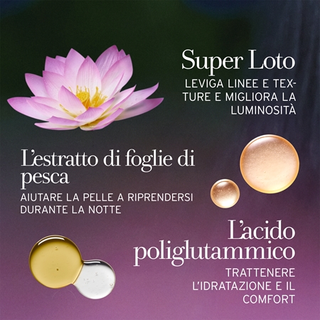 fresh Lotus Youth Preserve Dream Cream crema notte contro tutti i segni di invecchiamento