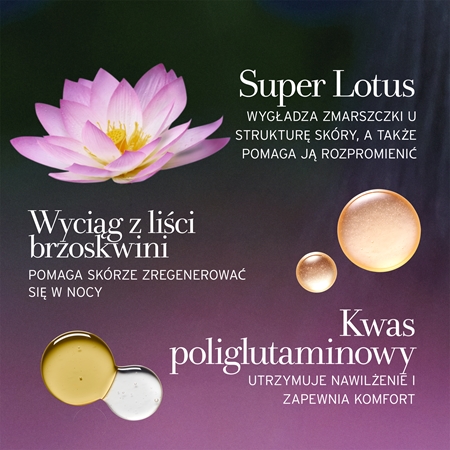 fresh Lotus Youth Preserve Dream Cream krem na noc przeciw objawom starzenia