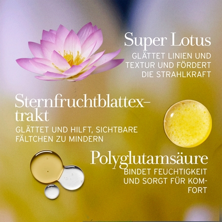fresh Lotus Youth Preserve Moisturizer feuchtigkeitsspendende Creme für strahlenden Glanz gegen die Alterung
