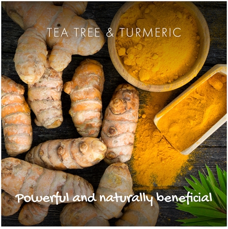 Friendly Soap Natural Soap Tea Tree & Turmeric přírodní mýdlo