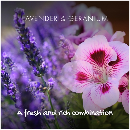Friendly Soap Natural Shampoo Bar Lavender & Geranium přírodní mýdlo na vlasy