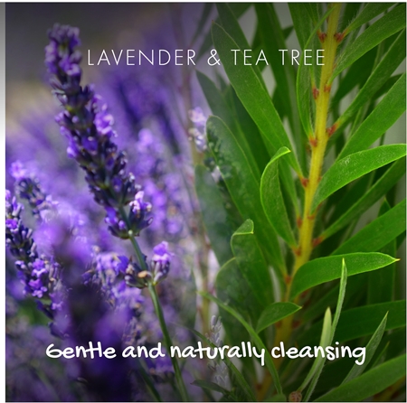 Friendly Soap Conditioner Bar Lavender & Tea Tree přírodní kondicionér na vlasy