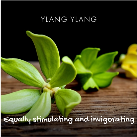 Friendly Soap Natural Soap Ylang Ylang přírodní mýdlo
