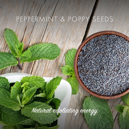 Friendly Soap Natural Soap Peppermint & Poppy Seeds φυσικό σαπούνι