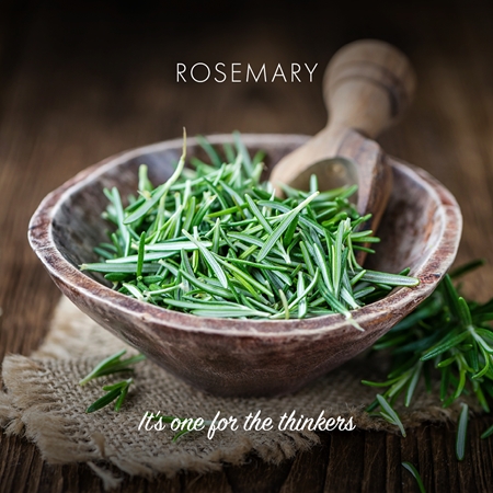 Friendly Soap Natural Soap Rosemary φυσικό σαπούνι