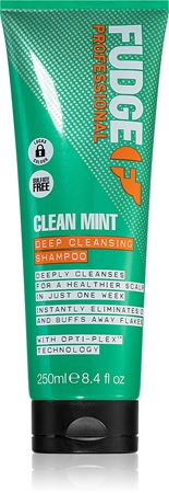 Fudge Clean Mint Shampoo Šampoon rasustele juustele