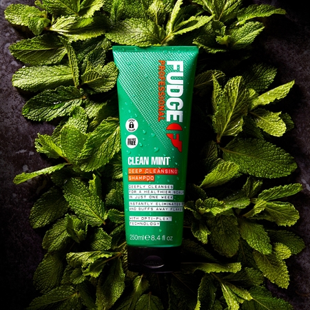 Fudge Clean Mint Shampoo Šampoon rasustele juustele