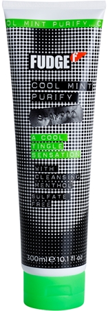 Fudge Cool Mint Purify Moisturizing Shampoo with Cooling Effect ...