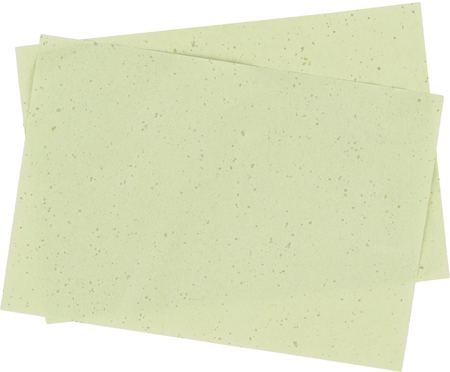 Gabriella Salvete SoulMatte Green Tea Blotting Papers with green tea