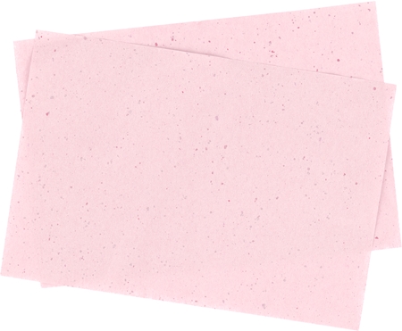 Gabriella Salvete SoulMatte Rose Extract Blotting Papers with rose oil