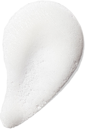 Gallinée SKIN CARE Foaming Facial Cleanser gentle cleansing foam for the face