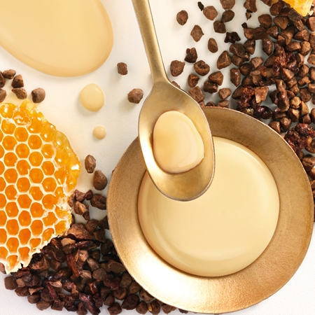 Garnier Botanic Therapy Honey & Propolis mascarilla reparación para cabello maltratado o dañado