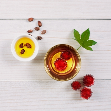 Garnier Botanic Therapy Ricinus Oil trattamento rinforzante per capelli deboli con tendenza alla caduta