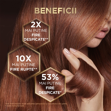 Garnier Botanic Therapy șampon fortifiant pentru păr deteriorat