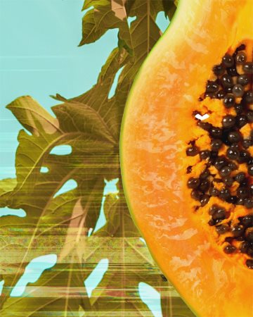 Garnier Fructis Papaya Hair Food maseczka regenerująca do włosów zniszczonych
