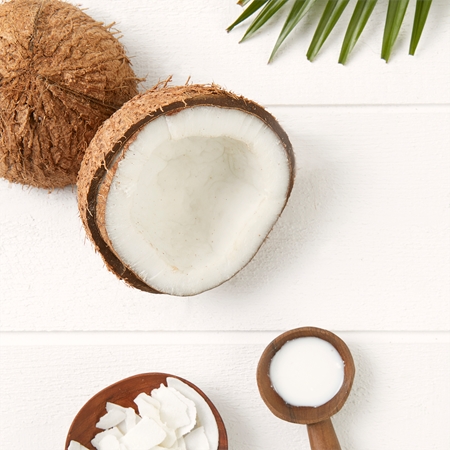 Garnier Botanic Therapy Coco Milk & Macadamia поживна маска для сухого волосся