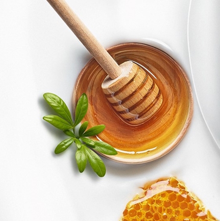 Garnier Botanic Therapy Hair Milk Mask Restoring Honey hair mask for very damaged hair with split ends