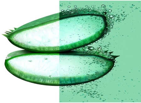 Garnier Fructis Aloe Vera Hair Food champú hidratante para cabello normal y seco