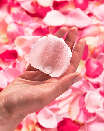 Garnier Micellar micellar water with rose water