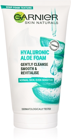 aloe vera pfanze Aloe Vera Pflanze online kaufen – MyZimmerpflanze.de