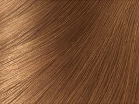 Garnier Olia cor para cabelo permanente