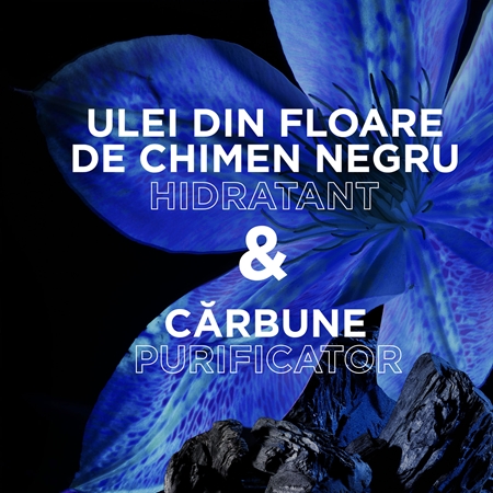 Garnier Botanic Therapy Magnetic Charcoal Sampon pentru scalp gras si fire de par cu terminatii uscate