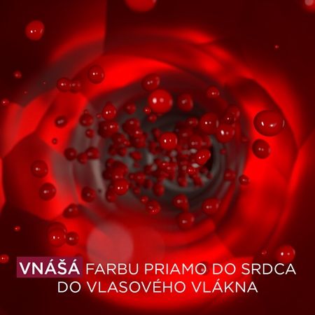 Garnier Olia Big Kit permanentná farba na vlasy