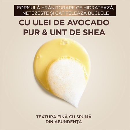 Garnier Botanic Therapy șampon intens hrănitor pentru par ondulat si cret