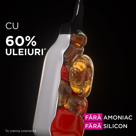 Garnier Olia Big Kit Culoare permanenta pentru par