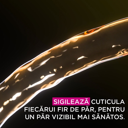 Garnier Olia Big Kit Culoare permanenta pentru par