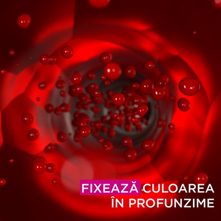 Garnier Olia Big Kit Culoare permanenta pentru par