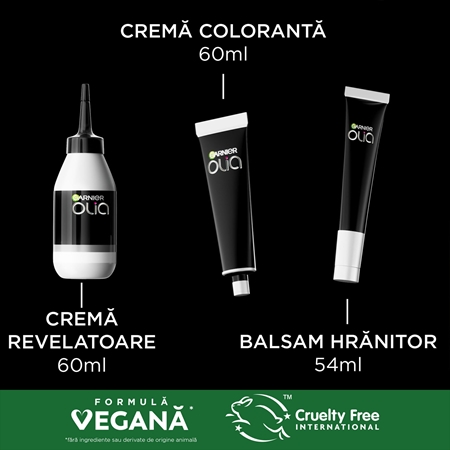 Garnier Olia Big Kit Culoare permanenta pentru par