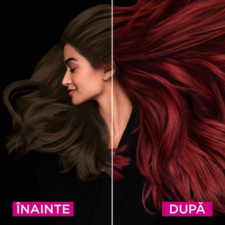 Garnier Olia Big Kit Culoare permanenta pentru par