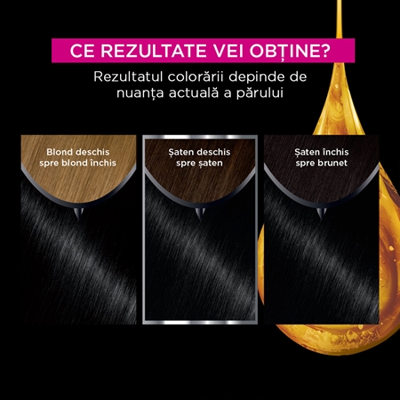 Garnier Olia Big Kit Culoare permanenta pentru par