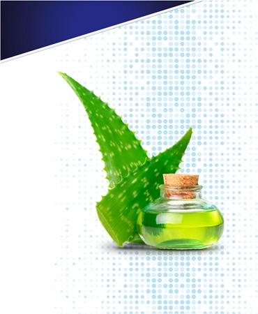 Gillette Skinguard Sensitive scheerset (voor Mannen )