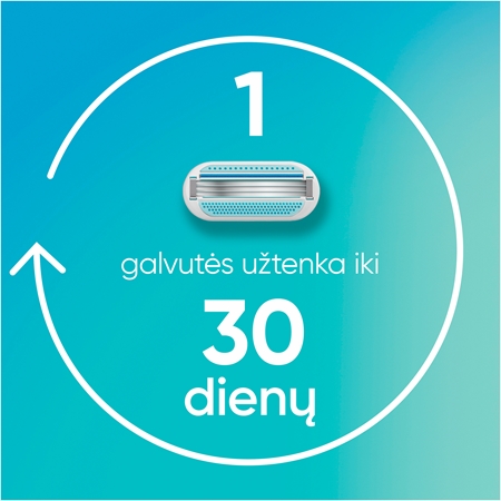 Gillette Venus Smooth pakaitiniai peiliukai